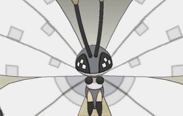 Butterfly/moth Pokemon