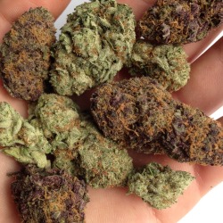 Light up & toke away