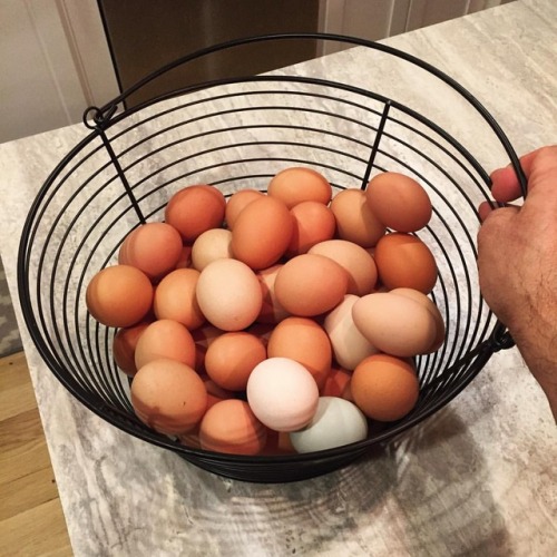 Picked up a new egg basket today. What’s that saying - size your basket for the eggs you want 