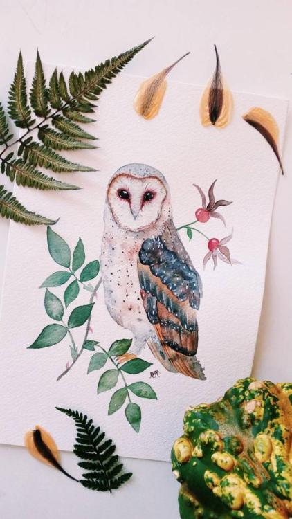 Barn Owl Original Watercolor Painting //Nussay