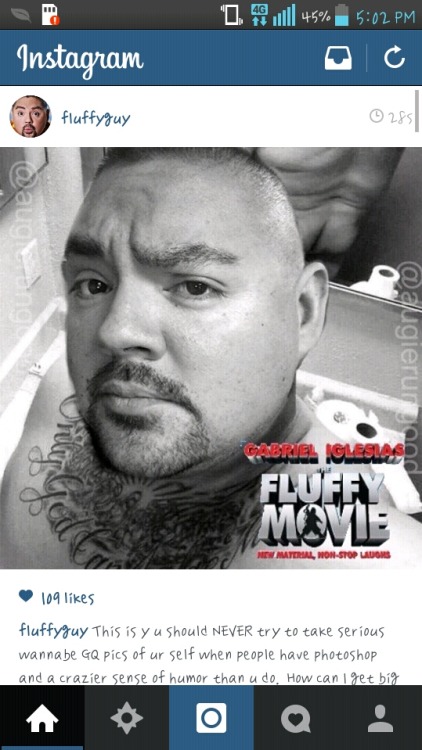 the-dream-is-my-reality:  Fluffy should do these pics more often