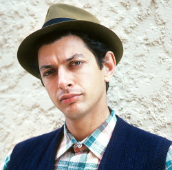 mabellonghetti:Jeff Goldblum, 1985. Photo credit: Michael Ochs / Getty Images
