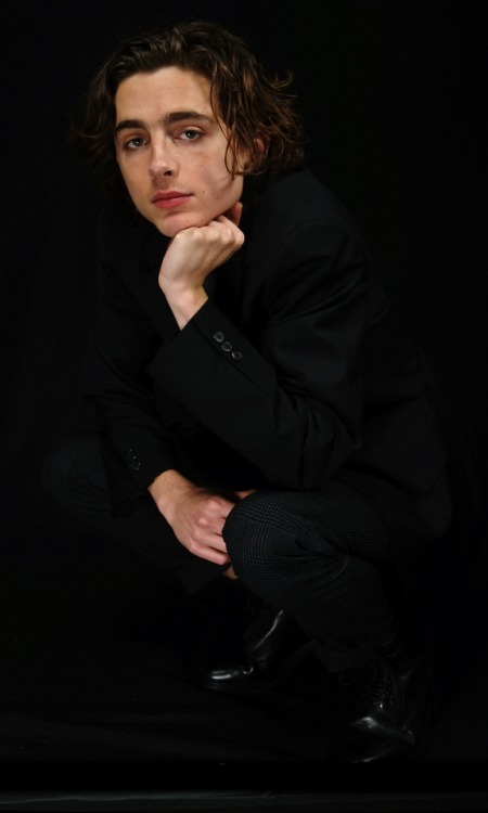 liltimmyturner: lookingforatardis: the-nonna-universe:✨  timothée “i know my jawline is