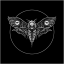 madnessmoth