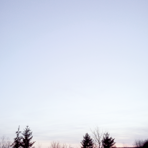 rosedewson:purple threaded evening, a torn goddess laying on the roof 3:45 p.m. // november 23th