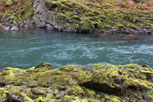 North Umpqua Trail - Mott Segment by Richard O'Neill