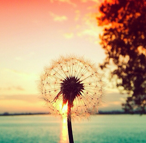 loseyoursoul-itwillbefound:  . | via Tumblr on We Heart Ithttp://weheartit.com/entry/107596540/via/spaceebound