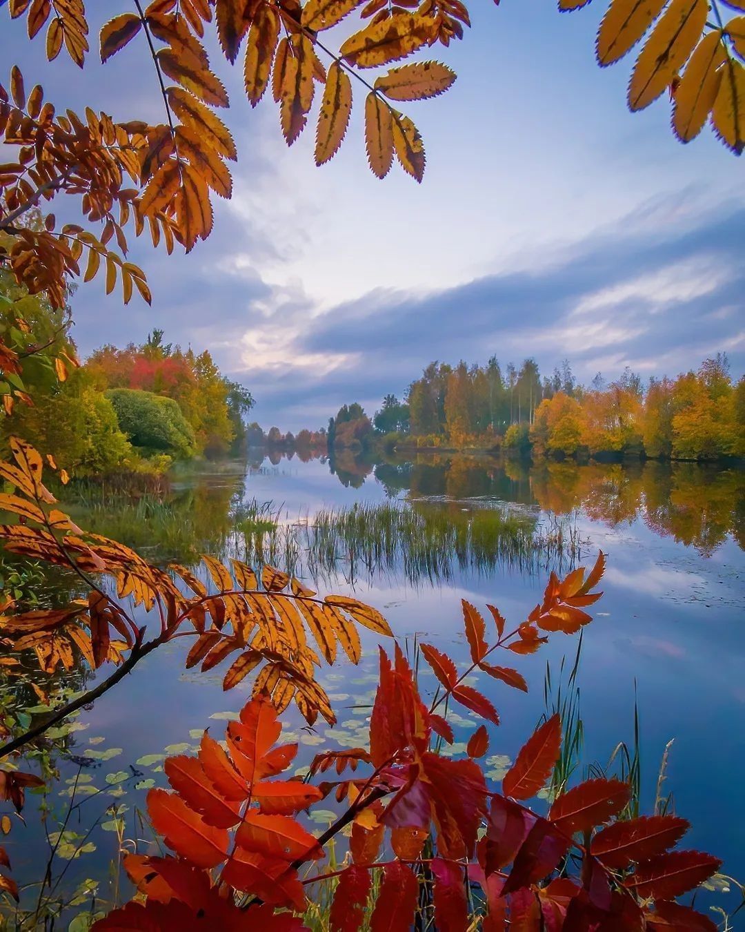 Autumn in Finland 🍂 Follow...