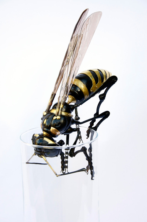 itscolossal: Amazing new insect and animal assemblages made from car and bike parts by Edouard Marti