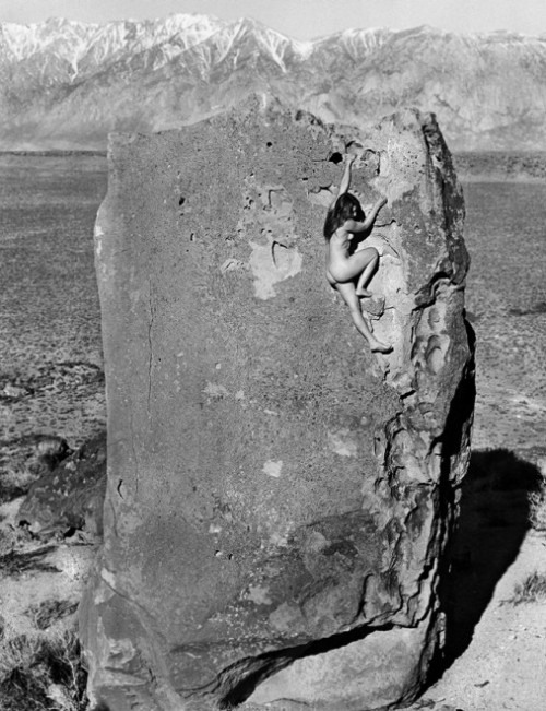 “Stone nudes calendar” (Dead Fidelman)