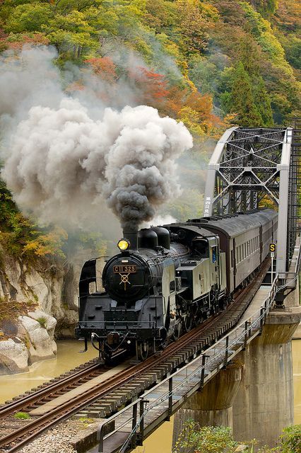 railroad-girl-in-germany