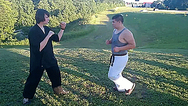 heroofomegle:  Shaolin Bird Kung Fu (video) 
