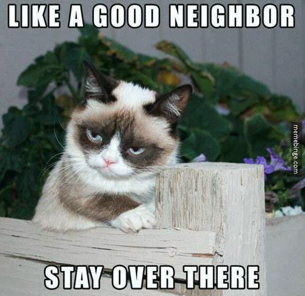 grumpy cat quotes tumblr