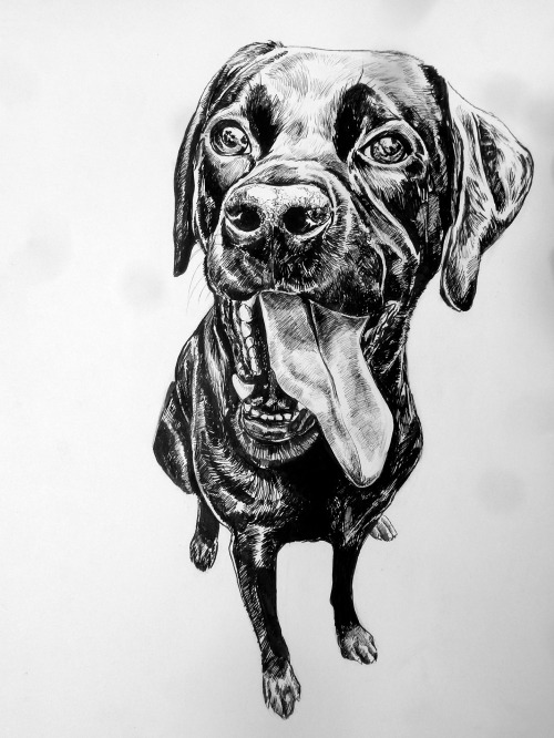 eatsleepdraw:“Just Throw It”jtiggy30.tumblr.com/juliatighe.com/