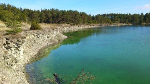 silurfilur:Some Loxonema gastropod shells found in an old quarry in Valleviken, Gotland, Sweden.The 