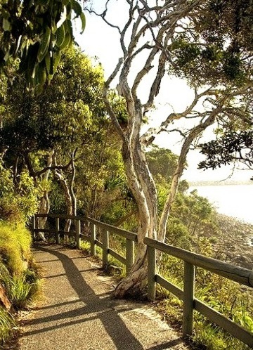 Walkway In Noosa National Park, Queensland, Australia