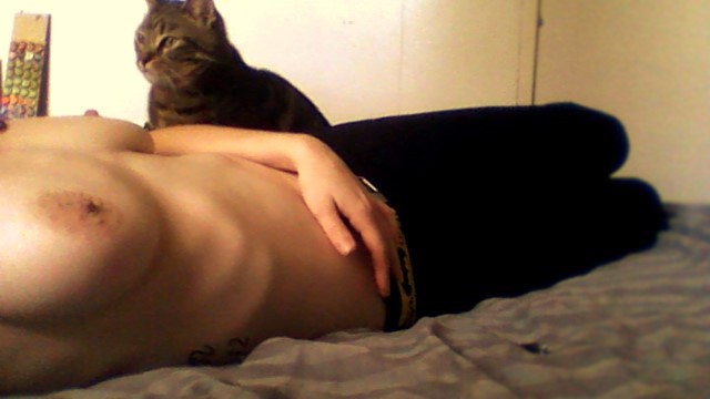 kaenichole:  Atticus, the kitty we are cat sitting wanted to be a guest star on my