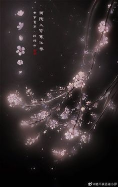 lolabunny650 - Waterfall680