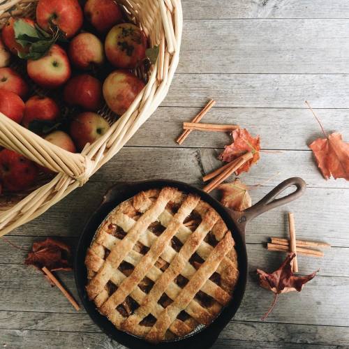 a-joyfuljourney:  Jayme Lynn Jones 