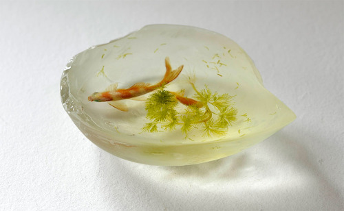 asylum-art-2:Riusuke Fukahori’s Lifelike Goldfish Painted in Acrylic Between Layers of Resin Japanes