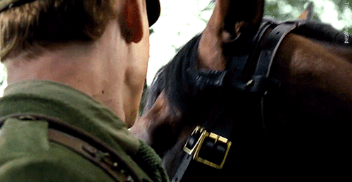 thehumming6ird:‘You can’t plan your performance when you’re working with a horse! The horse is going