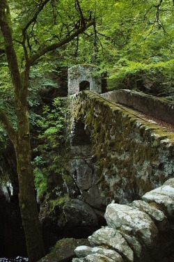 myelvenkingdom:  Beautiful old stone bridge in Scotland.