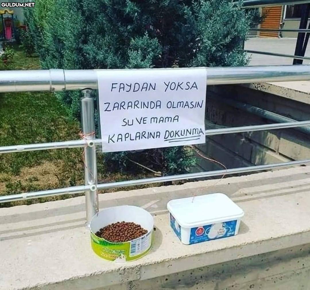 Bu açıklamayı yazmaya...