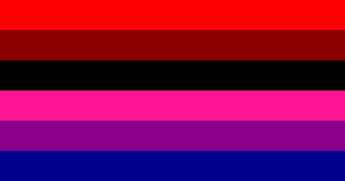 discoursebabie: discoursebabie: Anti Pansexual Pride Flag Red - Anger  Black - Hate for the label Bi