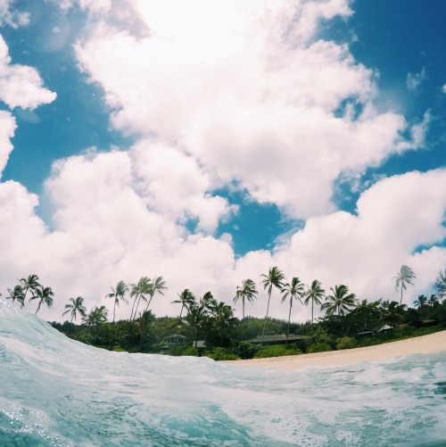 hawaiibound - always a good timeNice! ️
