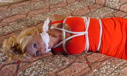 Porn photo bondagehedgehog:Stacy Burke