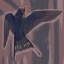 awkwardbirdsdreaming