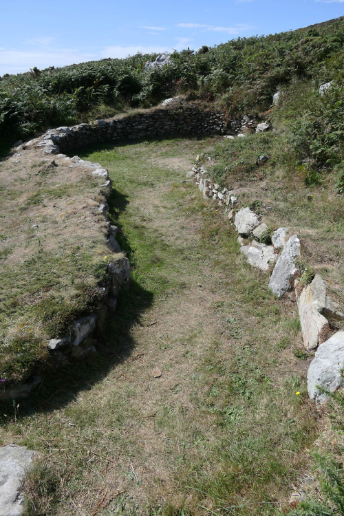 Prehistoric Hut Circles, South Stack, nr. Holyhead, Anglesey, 14.8.18.A series of roundhouse foundat