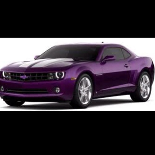 chasethatchevy: If I could have any car this would be it #purple#chevy#camaro#love#car#everythangisp