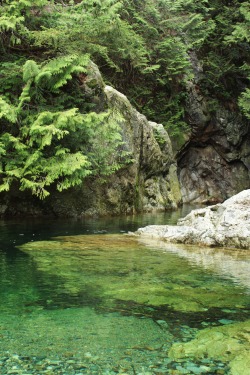 matchbox-mouse:  On the calm end of the river.Lynn Canyon