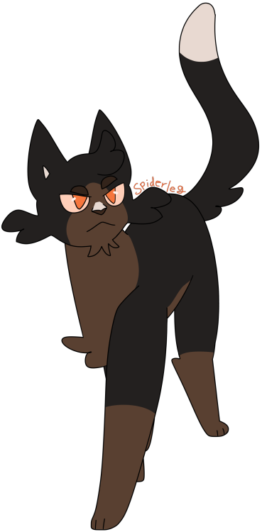 [Image Description: A digital drawing of Spiderleg from the Warrior Cats books. Spiderleg is a black
