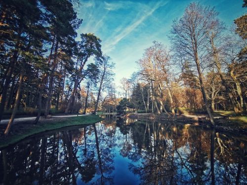 Spring mirror #lithuania #nature #park #water #tree #trees #reflection #mirrored #sky #bluesky #clou
