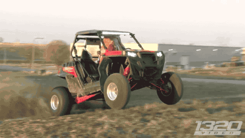 gifsboom:T-Rex Dinosaur STREET RACE. [video]@gallaooc
