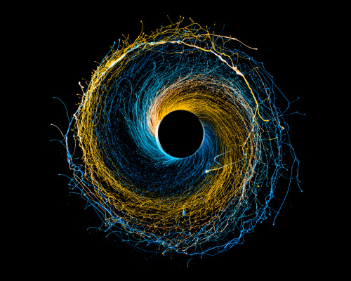 victoriousvocabulary:  CENTRIFUGAL [adjective] 1. moving or directed away from a centre or axis. 2. operated by means of centrifugal force. 3. Physiology: transmitting nerve impulses away from the central nervous system; efferent. 4. Botany: developing