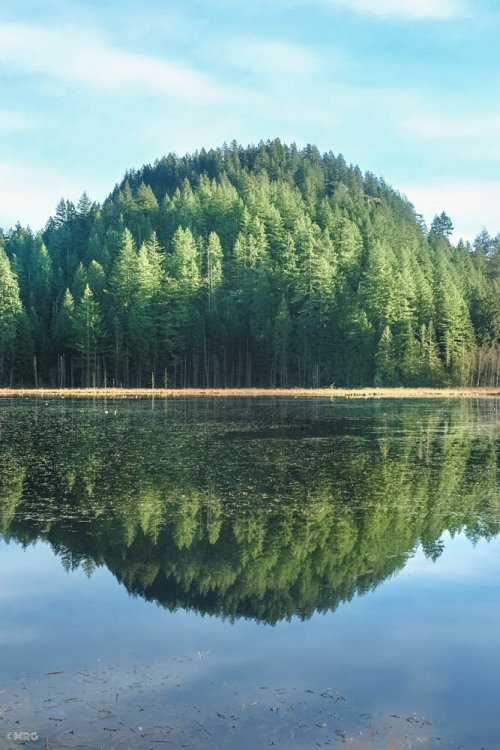 Mennikhada Park, Port Coquitlam