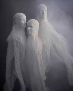 halloweencrafts:  DIY Easy Cheesecloth Ghost Tutorial from Martha Stewart. You can find styrofoam heads at beauty stores like Sally Beauty Supply, online, or at any place that sells wigs. Cheesecloth can be purchased at Home Depot. 
