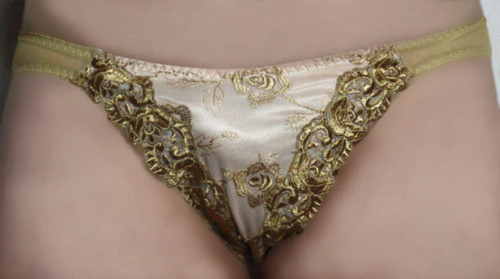 Pretty Panties with Golden Embroidery!