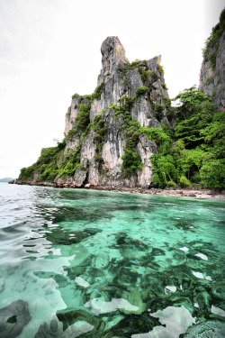 south-pacific:  ☼☀ follow south-pacific for