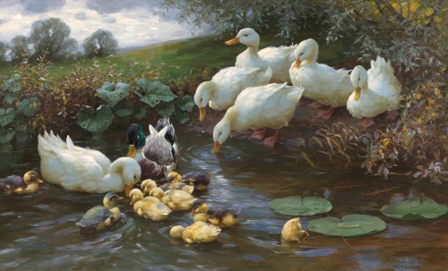 doomhope:sweetsncakesarte:Alexander Koester Family of Ducks at the Water (1910) [ID: A realistic pai