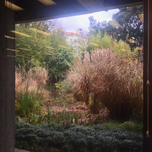 em Fundação Calouste Gulbenkian