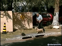sizvideos:  Watch the video of this prank 