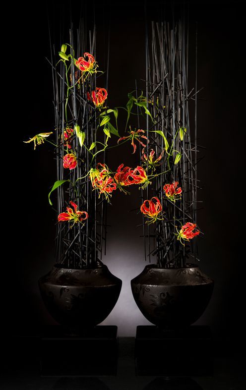 ronbeckdesigns:  Gloriosa ‘Tomas De Bruyne’  (www.tomasdebruyne…)       