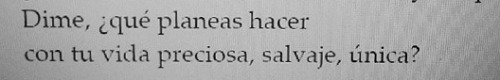 Hache de silencio