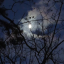 moonchild-77777