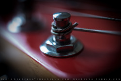 deebeeus:  Recent headstock shots - Gibson