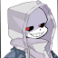 dust1sans256